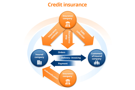 Credit Insurance