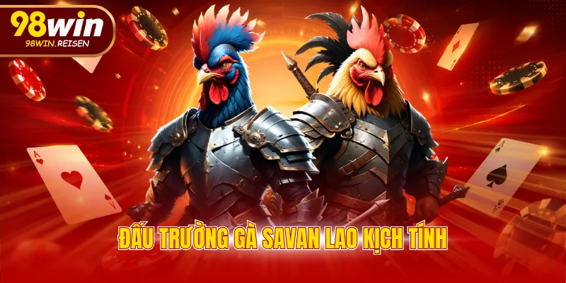 Đấu trường gà Savan Lao kịch tính